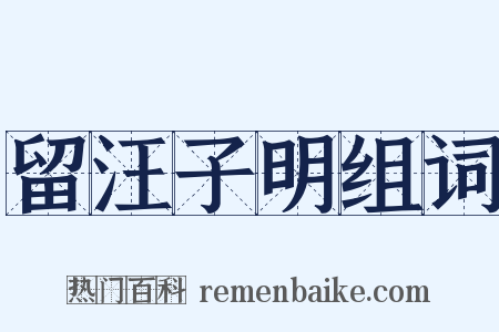 留汪子明组词是什么意思的图片